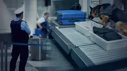 Au coeur des douanes