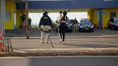 Au cœur des douanes : Amérique latine