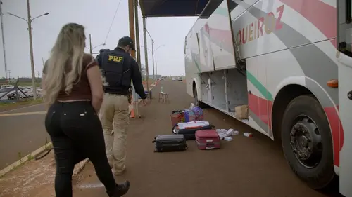 Au cœur des douanes : Amérique latine Coyotes