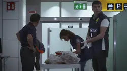 Au cœur des douanes : destination Europe  On Their Heels