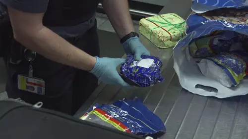 Au cœur des douanes : destination Europe Inside Investigation