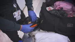 Sur Discovery Channel à 23h00 : Au coeur des douanes : Espagne