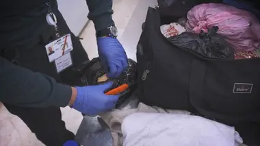 Au coeur des douanes : Espagne