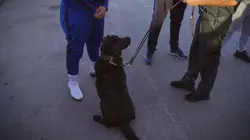 Au coeur des douanes : Espagne