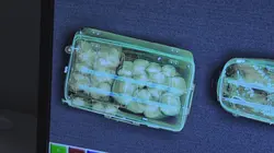 Sur Discovery Channel à 21h00 : Au coeur des douanes : Espagne