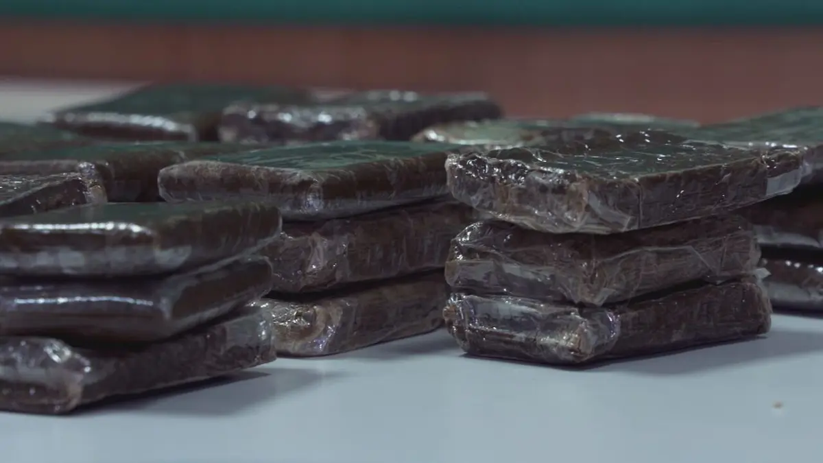 Visuel de Au coeur des douanes : Espagne