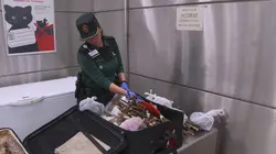 Au coeur des douanes : Espagne