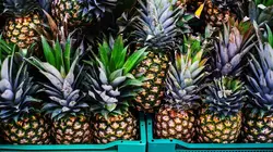 Au coeur des douanes : Espagne