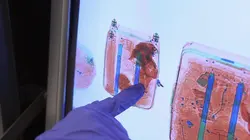 Au coeur des douanes : Espagne