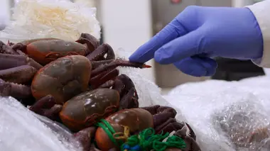 Au coeur des douanes : Espagne