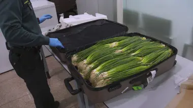 Au coeur des douanes : Espagne