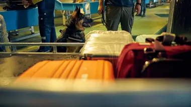 Au coeur des douanes : Espagne