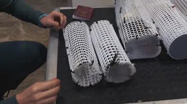 Au coeur des douanes : Espagne