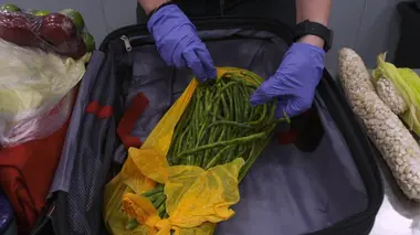 Au coeur des douanes : Espagne