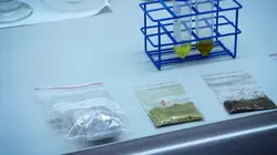 Au cœur des douanes : Italie