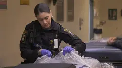 Sur Discovery Channel à 21h00 : Au cœur des douanes : Suède