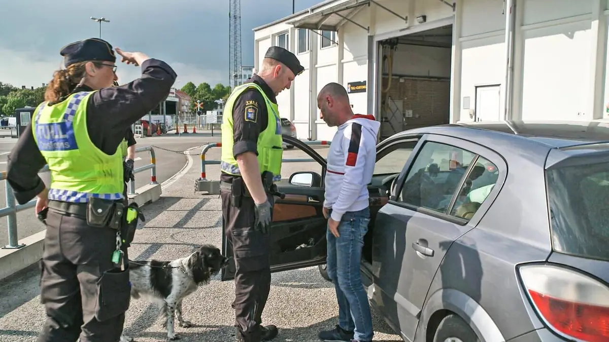 Au cœur des douanes : Suède S01E02 Effeuillage