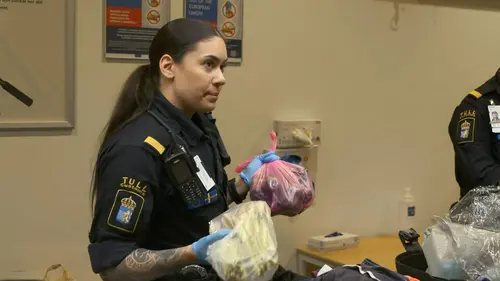 Au cœur des douanes : Suède S01E06 Vérité cachée