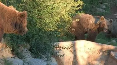 Parc national de Plitvice (Croatie)