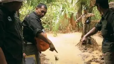 Parc national d'Ujung Kulon (Indonésie)