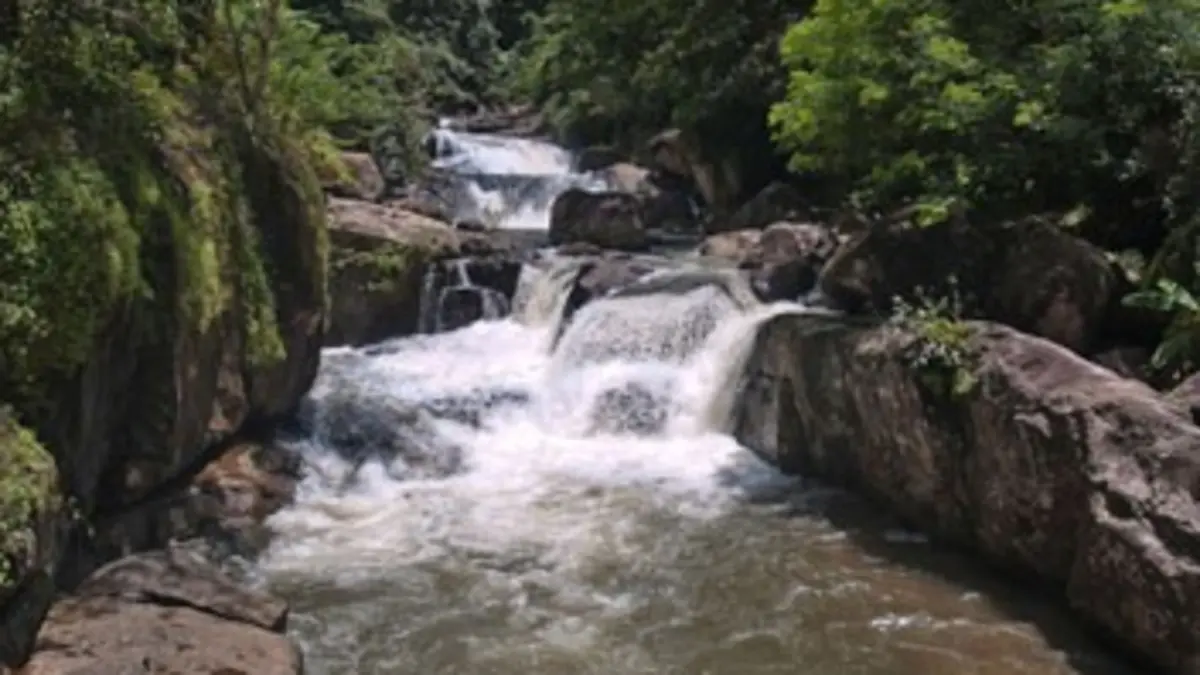 Au coeur des parcs nationaux Parc national de Khao Yai (Thaïlande)