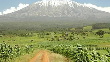 Parc national d'Amboseli (Kenya)