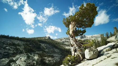 Les parcs nationaux américains E08 Yosemite