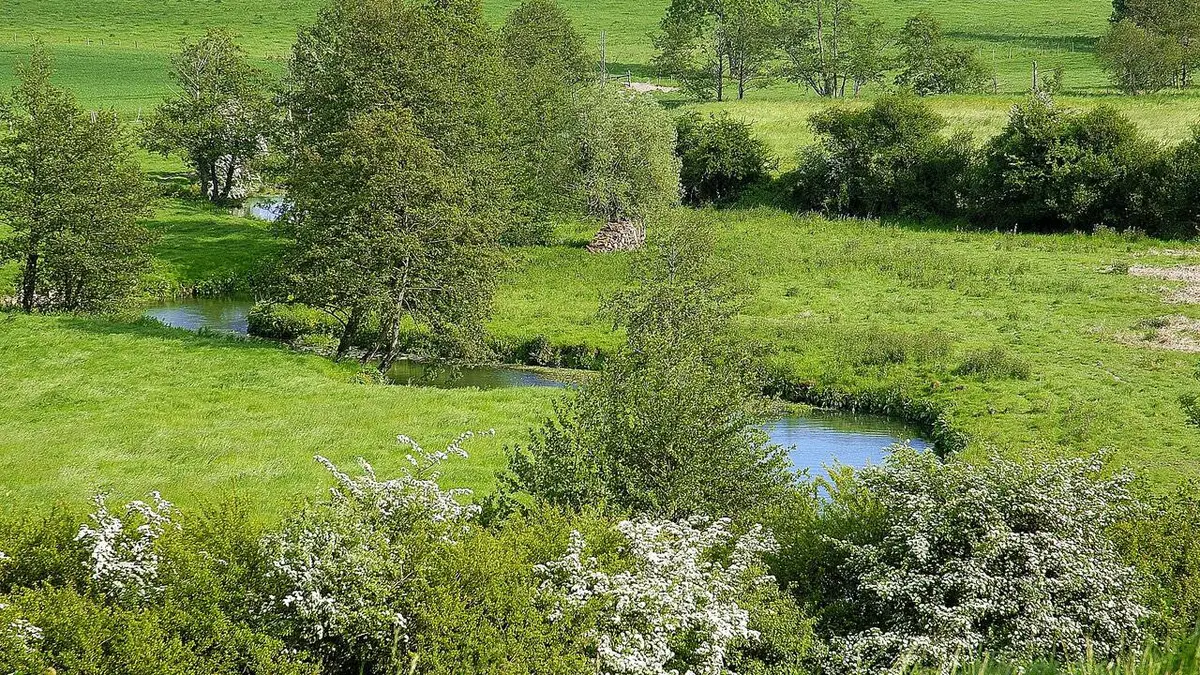 Au coeur des parcs régionaux naturels de France S01E02 Au coeur du parc naturel régional de la forêt d'Orient