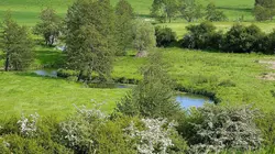 Visuel de Au coeur des parcs régionaux naturels de France