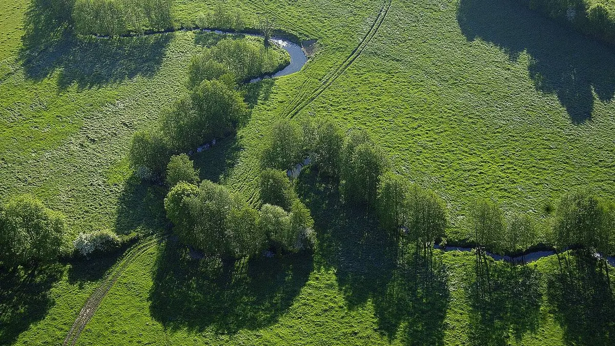 Au coeur des parcs régionaux naturels de France Au coeur du parc naturel régional de Camargue