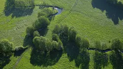 Visuel de Au coeur des parcs régionaux naturels de France