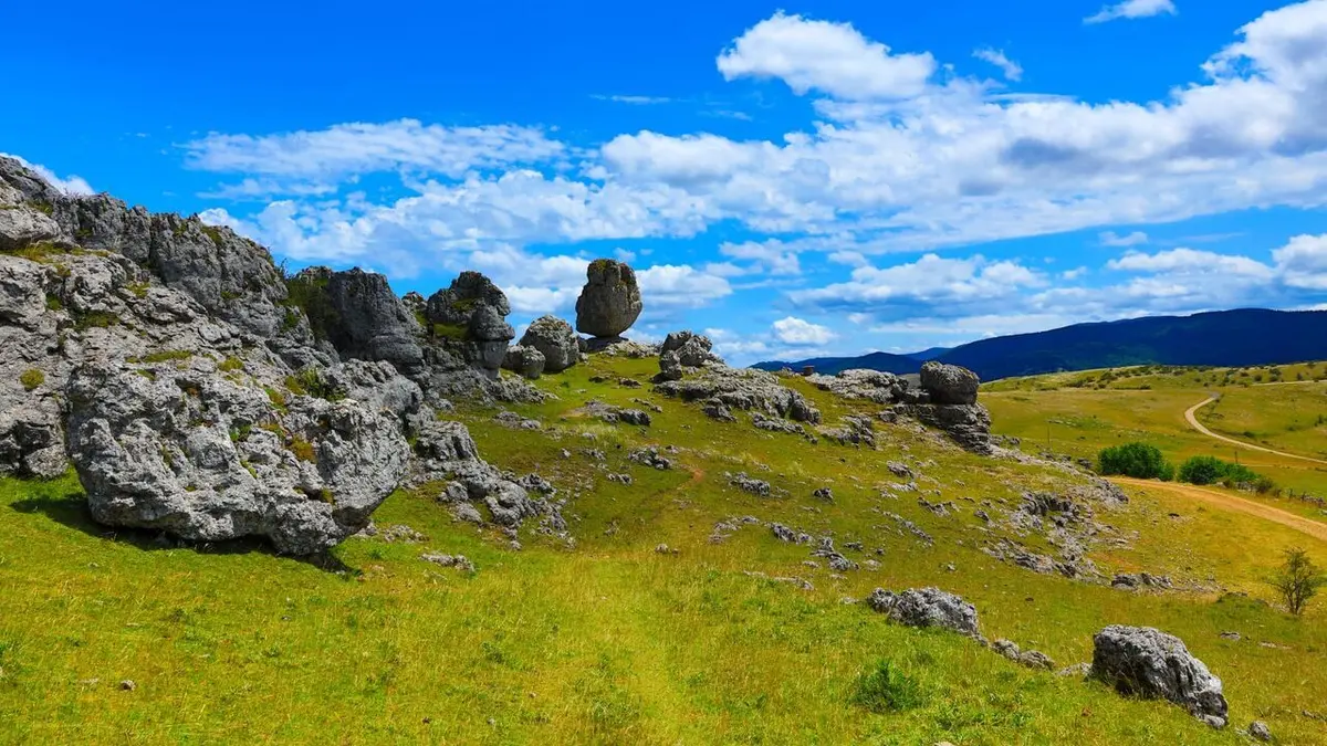 Au coeur du crime S04E13 Affaire Castro : une famille dans le box