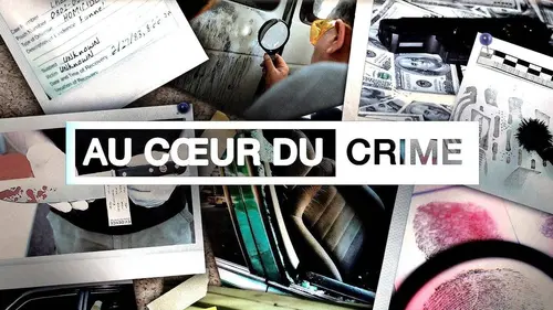 Au coeur du crime S15E10 Une mère a disparu