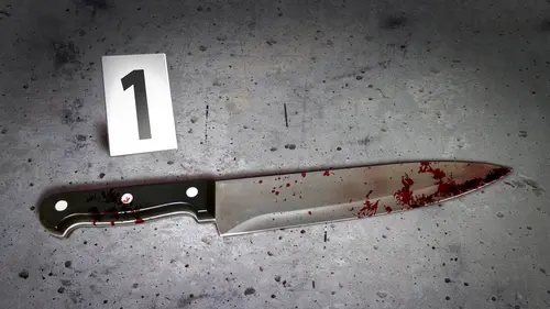 Au coeur du crime S14E20 Un visage sans nom