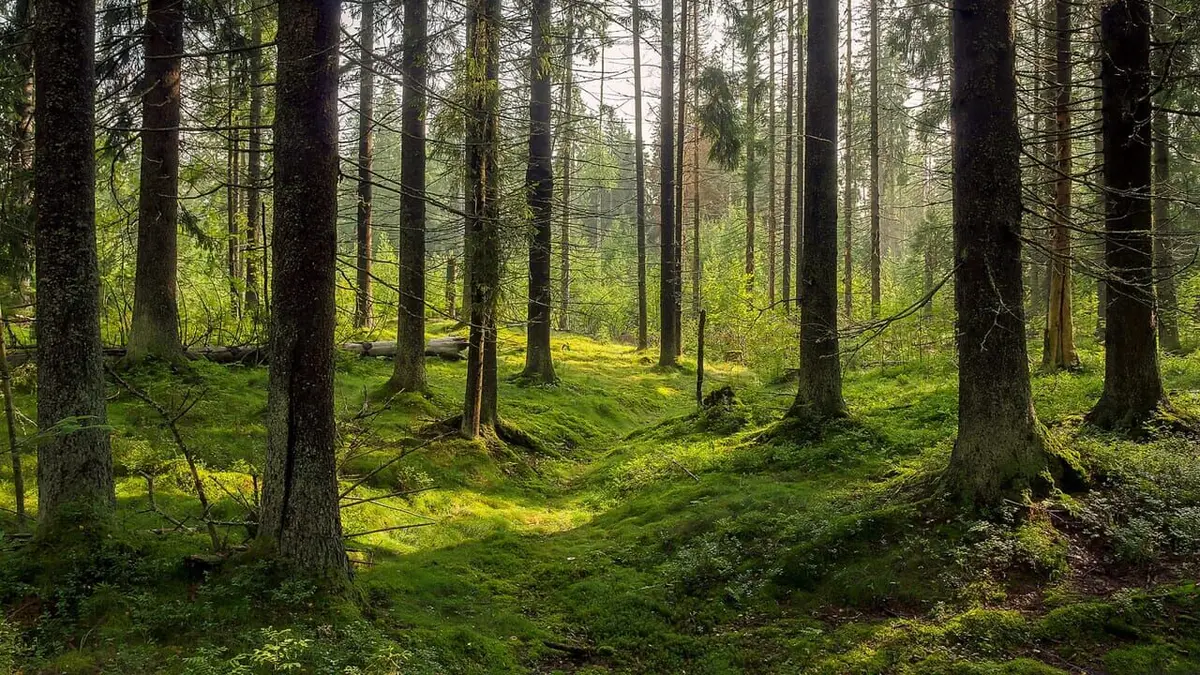 Au coeur du crime S02E13 Affaire Kévin Chavatte : le terrible complot entre lycéens