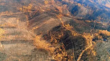 Au coeur du désastre Feu de l'enfer au Portugal
