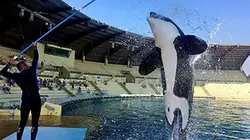 Visuel de Au coeur du Marineland