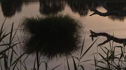 Au coeur du parc naturel régional