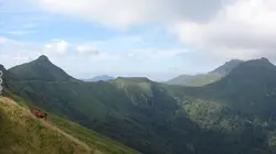 Au coeur du parc naturel régional