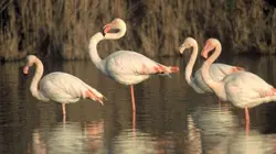 Au coeur du parc naturel régional