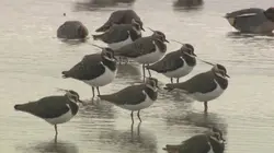 Au coeur du parc naturel régional