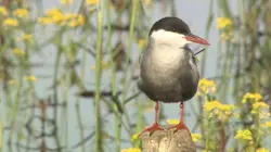 Au coeur du parc naturel régional