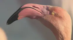 Au coeur du parc naturel régional