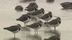 Au coeur du parc naturel régional