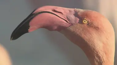Au coeur du parc naturel régional Camargue