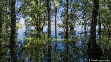 Au coeur du parc naturel régional Forêt d'Orient