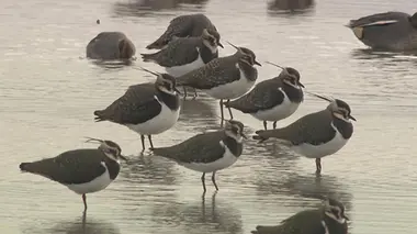 Au coeur du parc naturel régional S02E02 Au coeur du Parc naturel régional de Lorraine