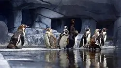 Au coeur du zoo de Paris