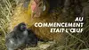 Au commencement était l'oeuf : les animaux ovipares
