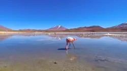 Au-delà de la mort : les secrets des rites funéraires